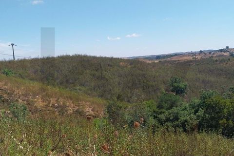 Masia a Ourique, Beja, Ourique - € 90.000 | Ref: KWPT-023948 - foto 2