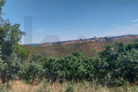 Masia a Ourique, Beja, Ourique - € 90.000 | Ref: KWPT-023948 - foto 5