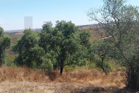 Masia a Ourique, Beja, Ourique - € 90.000 | Ref: KWPT-023948 - foto 7