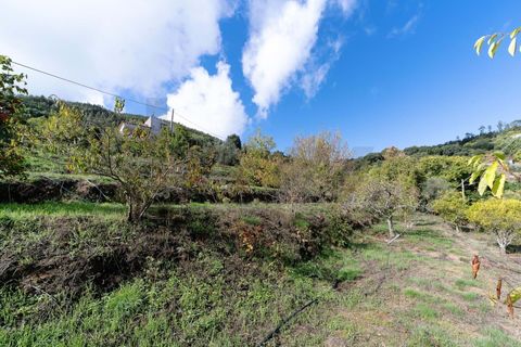 Villa i Monchique, Faro, Monchique - € 995.000 | Ref: KWPT-024193 - foto 41
