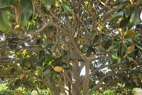 Villa a Siracusa, Siracusa, Siracusa - € 218.000 | Ref: IA4844 - foto 39