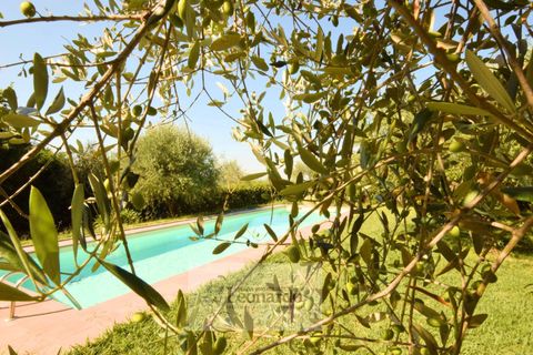 Villa a Massarosa, Lucca, Massarosa - € 1.200.000 | Ref: REA424 - foto 35