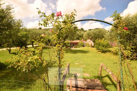 Villa a Massarosa, Lucca, Massarosa - € 1.200.000 | Ref: REA424 - foto 38