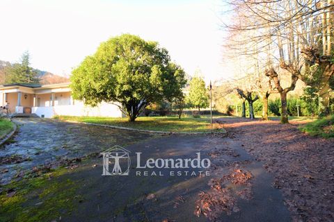 Villa i Camaiore, Lucca, Camaiore - € 520.000 | Ref: REA434 - foto 2