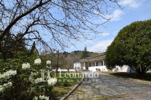 Villa i Camaiore, Lucca, Camaiore - € 520.000 | Ref: REA434 - foto 29