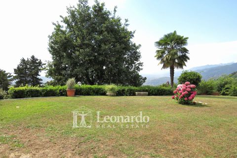Villa a Massarosa, Lucca, Massarosa - € 3.200.000 | Ref: REA472 - foto 4