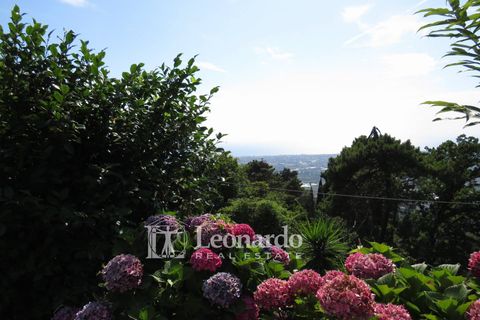 Villa a Massarosa, Lucca, Massarosa - € 3.200.000 | Ref: REA472 - foto 36