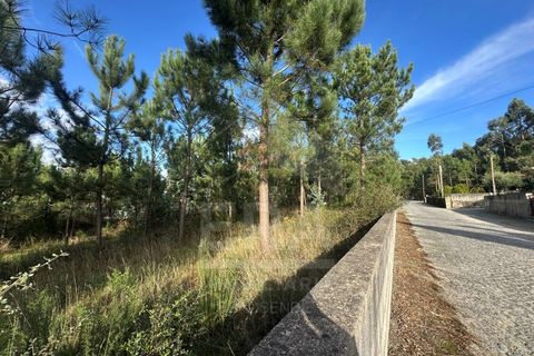 Helårsgrund i Barcelos, Braga, Barcelos - € 200.000 | Ref: 039250171 - foto 2