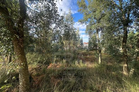Helårsgrund i Barcelos, Braga, Barcelos - € 200.000 | Ref: 039250171 - foto 4