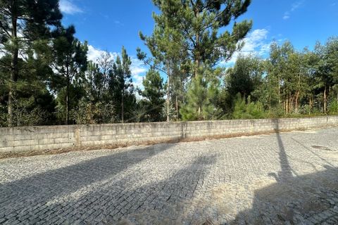Helårsgrund i Barcelos, Braga, Barcelos - € 200.000 | Ref: 039250171 - foto 7