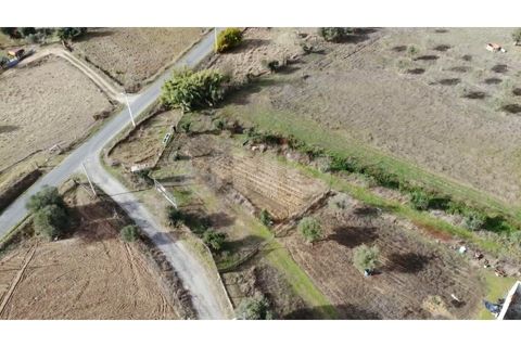 Helårsgrund i Alvito, Beja, Alvito - € 55.000 | Ref: UNU.I.1244.20159 - foto 3