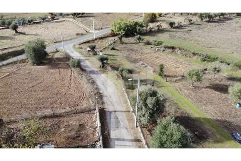 Helårsgrund i Alvito, Beja, Alvito - € 55.000 | Ref: UNU.I.1244.20159 - foto 4