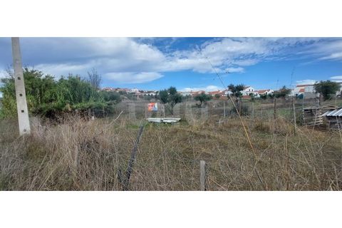 Helårsgrund i Alvito, Beja, Alvito - € 55.000 | Ref: UNU.I.1244.20159 - foto 8