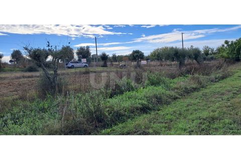 Helårsgrund i Alvito, Beja, Alvito - € 55.000 | Ref: UNU.I.1244.20159 - foto 12