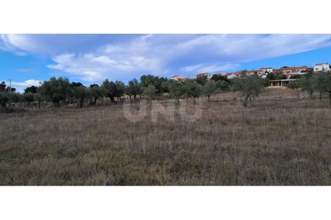 Helårsgrund i Alvito, Beja, Alvito - € 55.000 | Ref: UNU.I.1244.20159 - foto 13