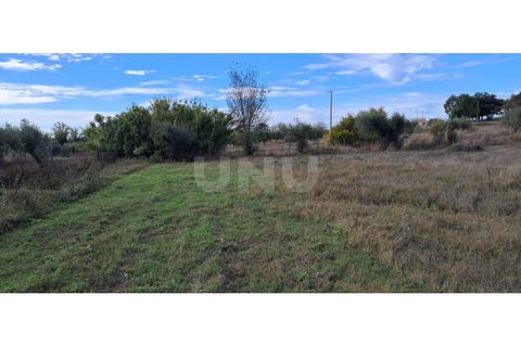 Helårsgrund i Alvito, Beja, Alvito - € 55.000 | Ref: UNU.I.1244.20159 - foto 15