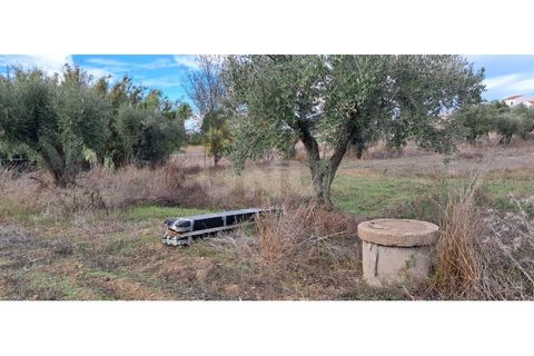 Helårsgrund i Alvito, Beja, Alvito - € 55.000 | Ref: UNU.I.1244.20159 - foto 16