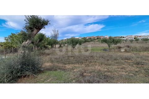 Helårsgrund i Alvito, Beja, Alvito - € 55.000 | Ref: UNU.I.1244.20159 - foto 17