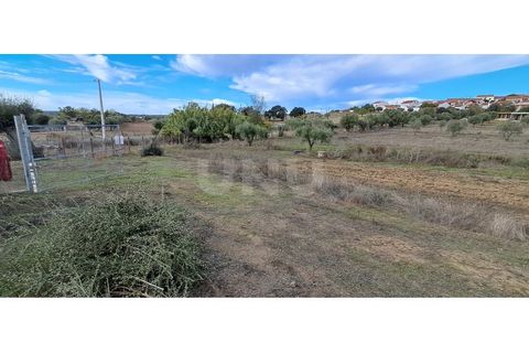 Helårsgrund i Alvito, Beja, Alvito - € 55.000 | Ref: UNU.I.1244.20159 - foto 18