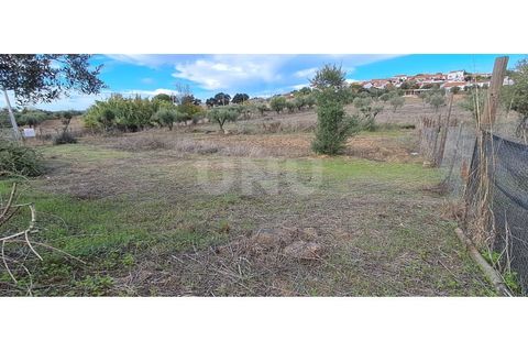 Helårsgrund i Alvito, Beja, Alvito - € 55.000 | Ref: UNU.I.1244.20159 - foto 19