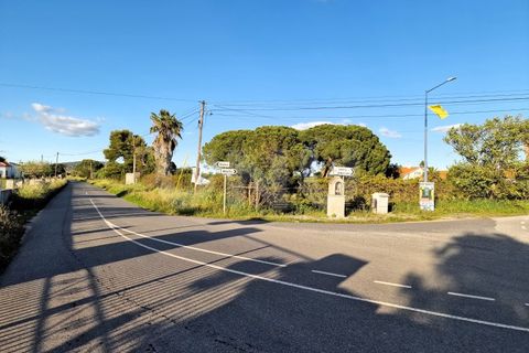 Helårsgrund i Alvito, Beja, Alvito - € 55.000 | Ref: UNU.I.1244.20159 - foto 21