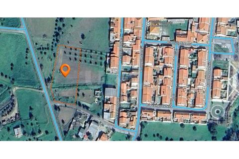 Helårsgrund i Alvito, Beja, Alvito - € 55.000 | Ref: UNU.I.1244.20159 - foto 26