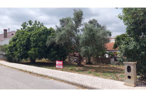Helårsgrund i Entroncamento, Santarem, Entroncamento - € 68.900 | Ref: TER_151 - foto 1