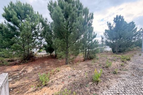 Helårsgrund i Rio Maior, Santarem, Rio Maior - € 85.000 | Ref: KWPT-023892 - foto 1