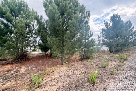 Helårsgrund i Rio Maior, Santarem, Rio Maior - € 85.000 | Ref: KWPT-023892 - foto 2