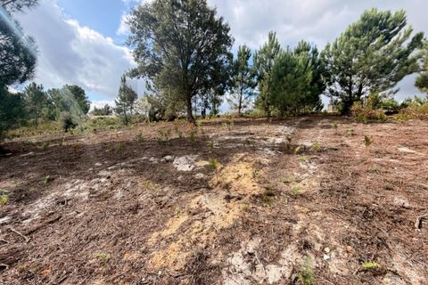 Helårsgrund i Rio Maior, Santarem, Rio Maior - € 85.000 | Ref: KWPT-023892 - foto 9
