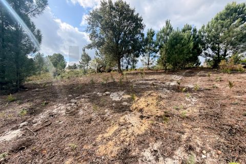 Helårsgrund i Rio Maior, Santarem, Rio Maior - € 85.000 | Ref: KWPT-023892 - foto 10