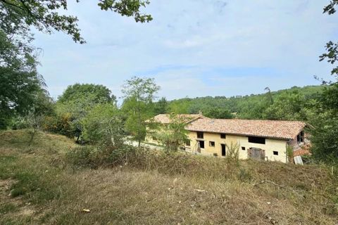 Farm i Artigat, Ariege, Artigat - € 408.000 | Ref: JN2333 - foto 1