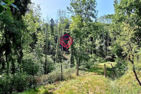 Villa in Foix, Ariege, Foix - € 555.000 | Ref: CB2529 - foto 25