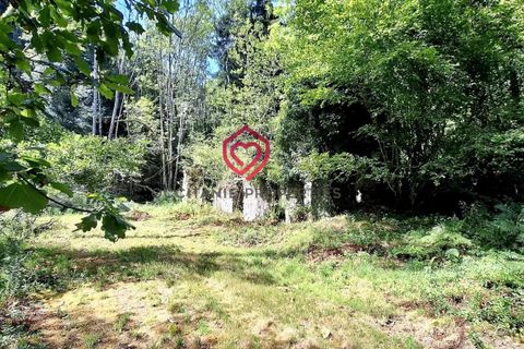 Villa in Foix, Ariege, Foix - € 555.000 | Ref: CB2529 - foto 26