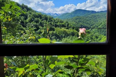 Villa i Biert, Ariege, Biert - € 165.000 | Ref: DK117 - foto 20