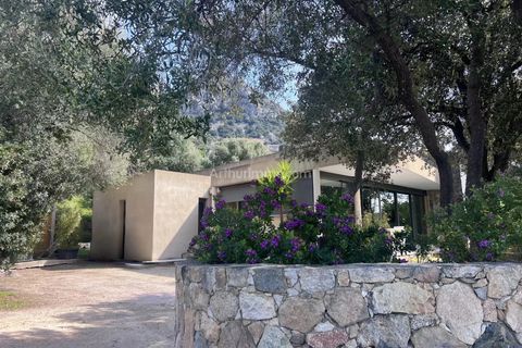 Villa i Lumio, Haute-Corse, Lumio - € 1.242.000 | Ref: 2265 - foto 24