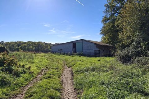 Villa in Alloue, Charente, Alloue - € 360.000 | Ref: BVI83059 - foto 8