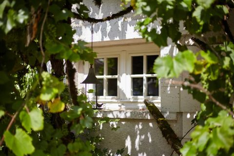 Villa i Riberac, Dordogne, Riberac - € 1.320.000 | Ref: BVI76534 - foto 13
