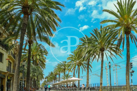 Villa i Badalona, Barcelona, Badalona - € 695.000 | Ref: VBM2511001 - foto 14