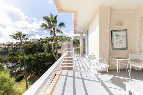 Àtic a Andratx, Mallorca, Andratx - € 1.575.000 | Ref: VPM2511007 - foto 35