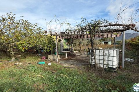 Finca i Roses, Gerona, Roses - € 110.000 | Ref: 3610 - foto 12