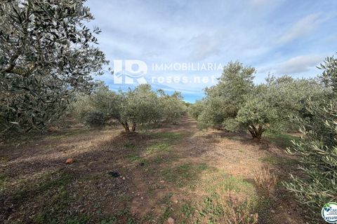 Finca i Roses, Gerona, Roses - € 110.000 | Ref: 3610 - foto 16