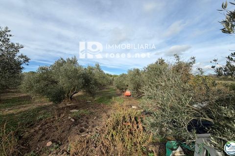 Finca i Roses, Gerona, Roses - € 110.000 | Ref: 3610 - foto 18