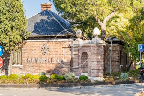 Villa i La Moraleja, Madrid, La Moraleja - € 4.100.000 | Ref: VMN2511005 - foto 24