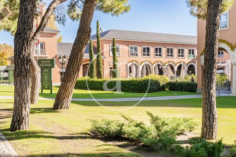 Villa i La Moraleja, Madrid, La Moraleja - € 4.100.000 | Ref: VMN2511005 - foto 26