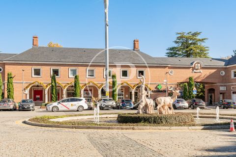 Villa i La Moraleja, Madrid, La Moraleja - € 4.100.000 | Ref: VMN2511005 - foto 31