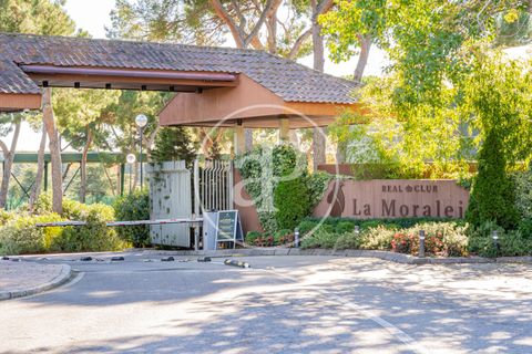 Villa i La Moraleja, Madrid, La Moraleja - € 4.100.000 | Ref: VMN2511005 - foto 37