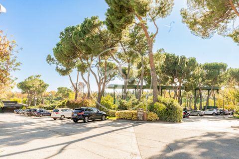 Villa i La Moraleja, Madrid, La Moraleja - € 4.100.000 | Ref: VMN2511005 - foto 39