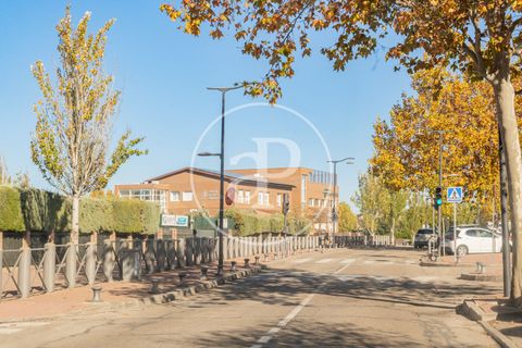 Villa i La Moraleja, Madrid, La Moraleja - € 4.100.000 | Ref: VMN2511005 - foto 43