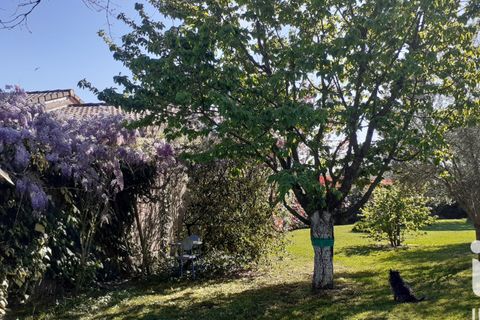 Villa i Saint-Sulpice-la-Pointe, Tarn, Saint-Sulpice-la-Pointe - € 312.000 | Ref: 81052 - foto 28